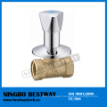 Brass Built in Valve Factory Fast Supplier (BW-S13)